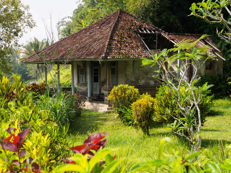 We suspect this abandoned house by the river belonged to some Dutch colonial official (it's unusual for a Balinese house to have only a front porch, no shrine, and no compound walls)