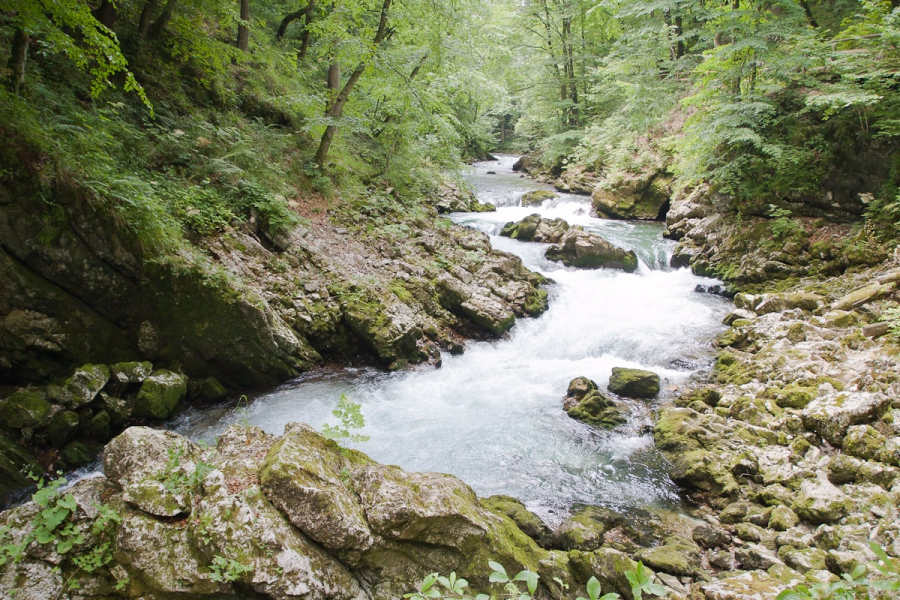 A beautiful walk 4 km from Bled follows the Radovna River through Vintgar Gorge