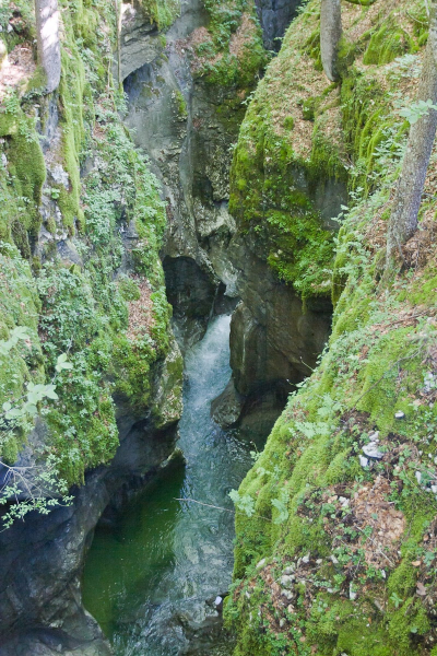 Another beautiful hike is along Mostnica Gorge
