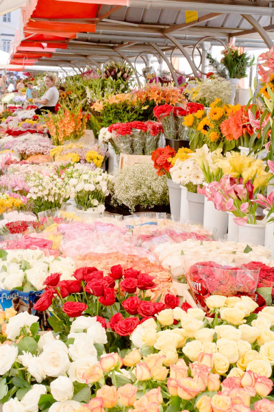 Flowers in Ljubljana's fabulous outdoor central market