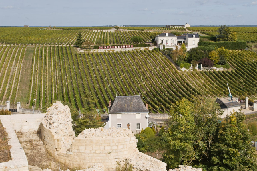 The vineyards around the castle produce dry red wines