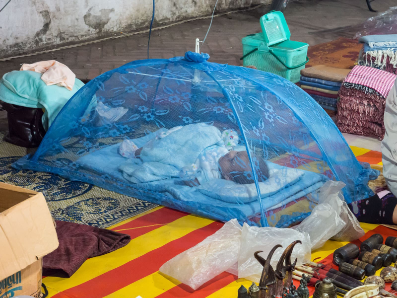 A baby sleeping under a little mosquito net while its parents   sell goods in the night market