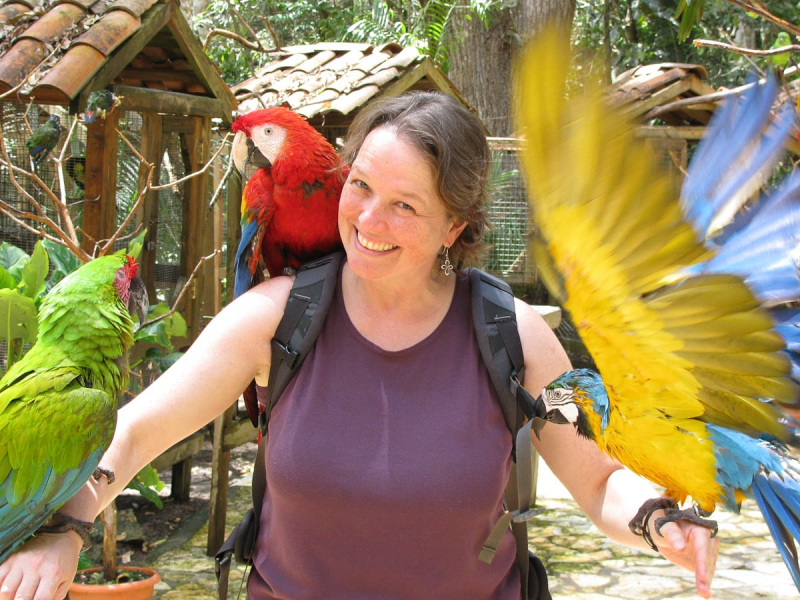 Chris meets some of the inhabitants of the Macaw Mountain Bird Sanctuary near Copan