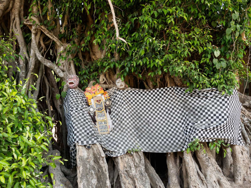 Masks, a small shrine, and ceremonial cloth wrapped around a huge banyan tree