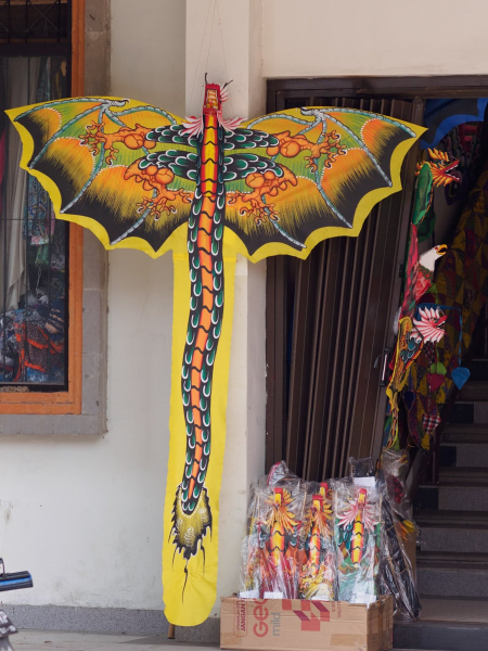 Kites are also popular in Ubud (as elsewhere in Bali)