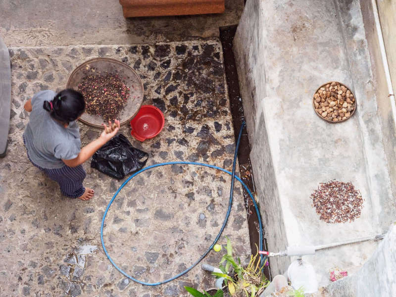 A woman sifting cloves in her yard