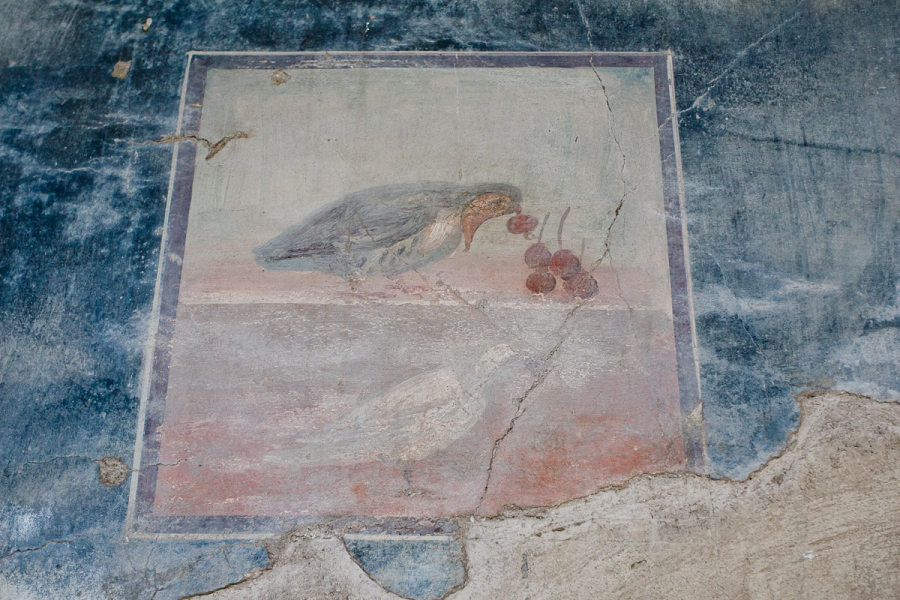 Wall painting of a partridge eating cherries