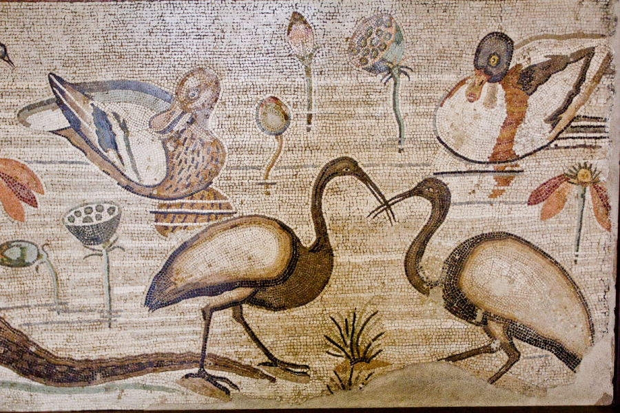 Roman mosaics in the Naples archeological museum