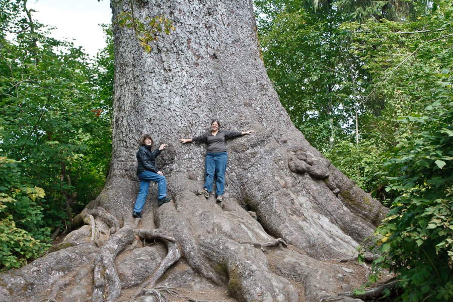 Melissa and Pam at the base of the world's largest Sitka spruce 