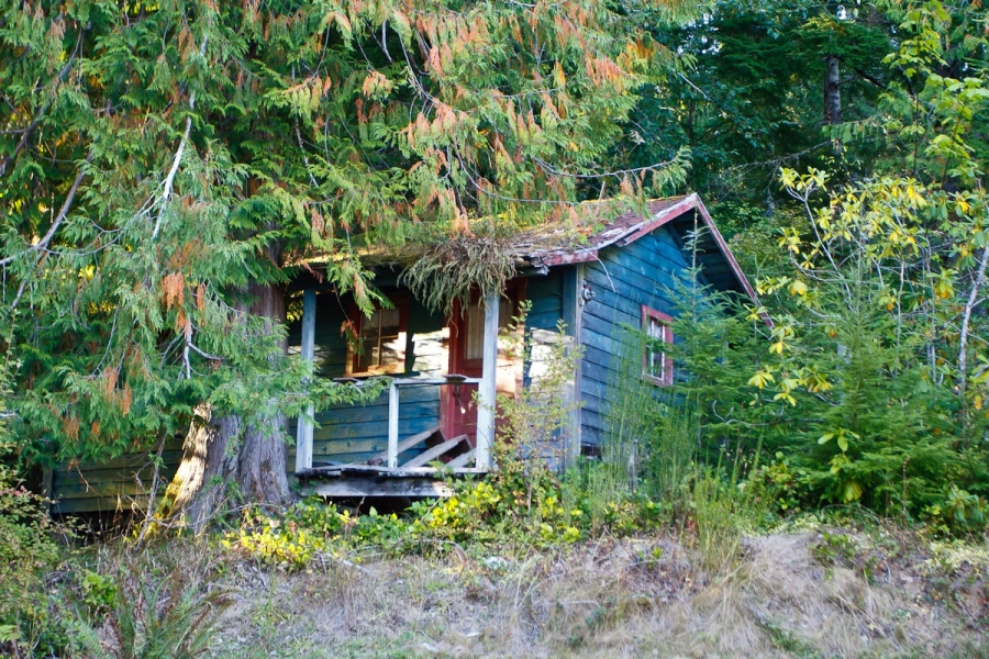 The original homesteaders' cabin next to the house we rented on Lake Crescent