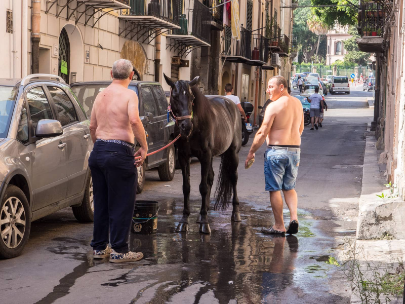 . . . or men washing a horse in the street