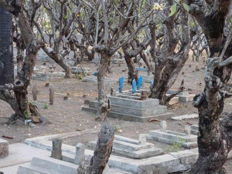 Next to the beach temple is what appears to be a cemetary set among frangipani trees