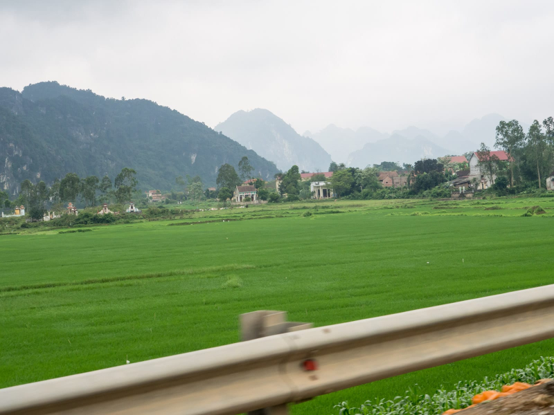 View from the car window of the rice fields and mountains near the park