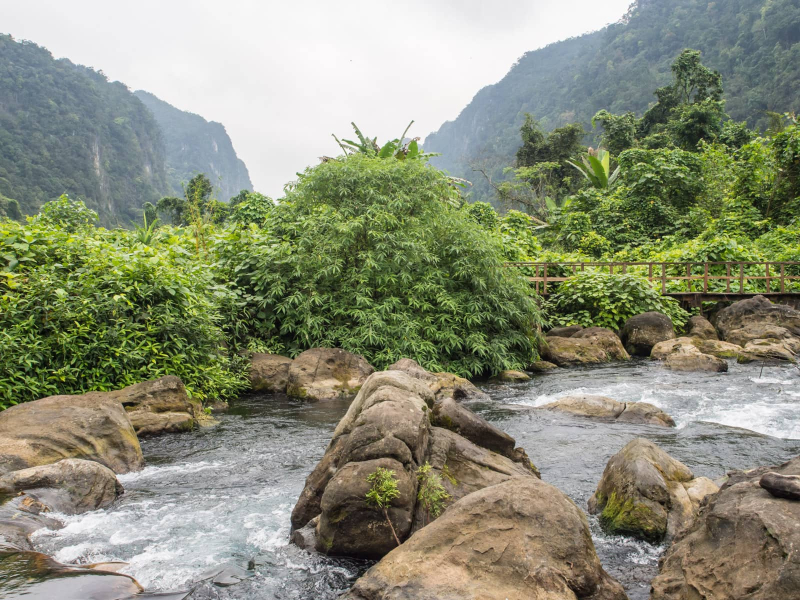 A river valley in the park is the site of the 1-kilometer Nuoc Mooc trail