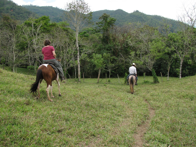 We enjoyed a two-hour horseback ride around the finca