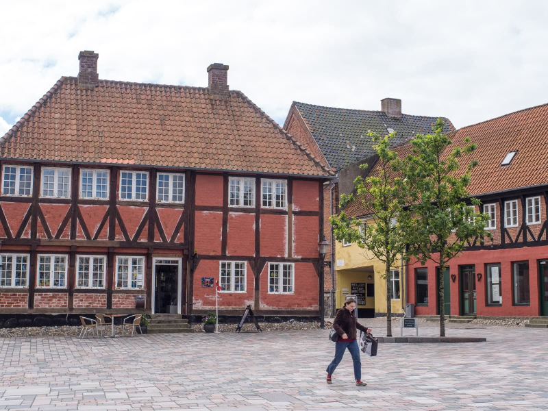 This house was once home to Ribe's bishops