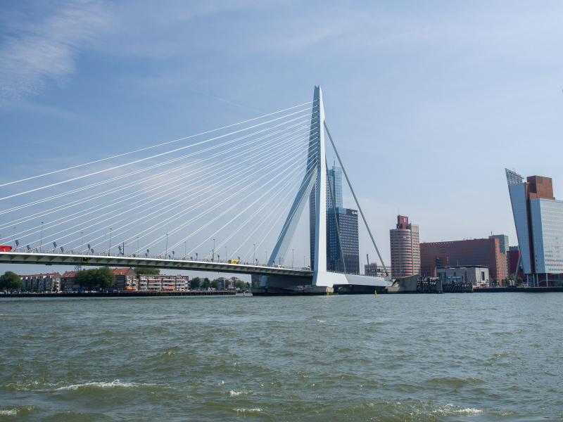 The Erasmus Bridge, nicknamed "The Swan"