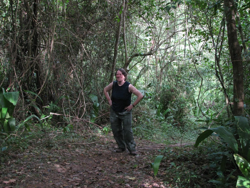 Chris on a forest path in the Belize Botanic Gardens near San Ignacio