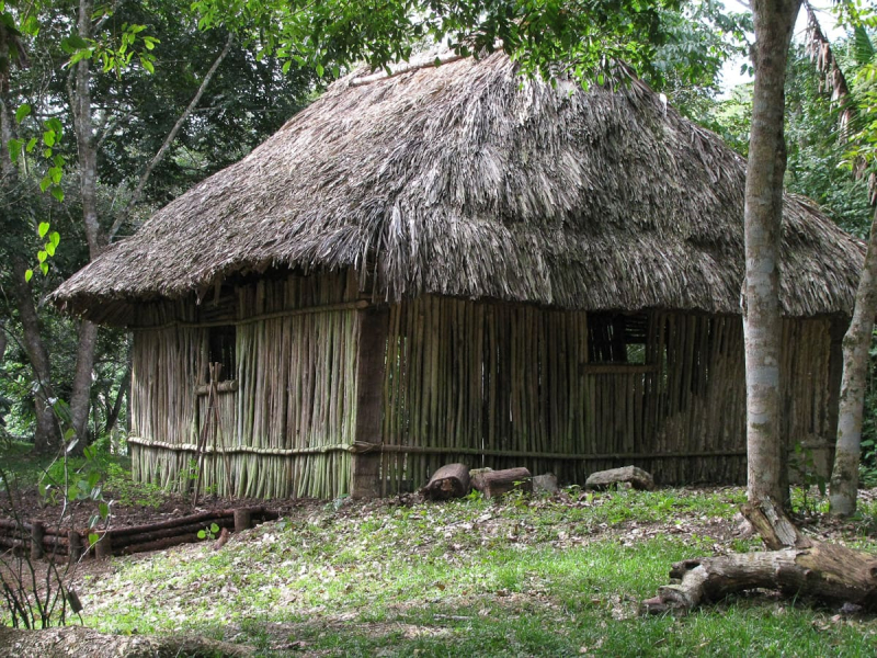 How the common people used to live: a traditional Belizean-style Maya house built for educational purposes from materials found in the Botanic Gardens