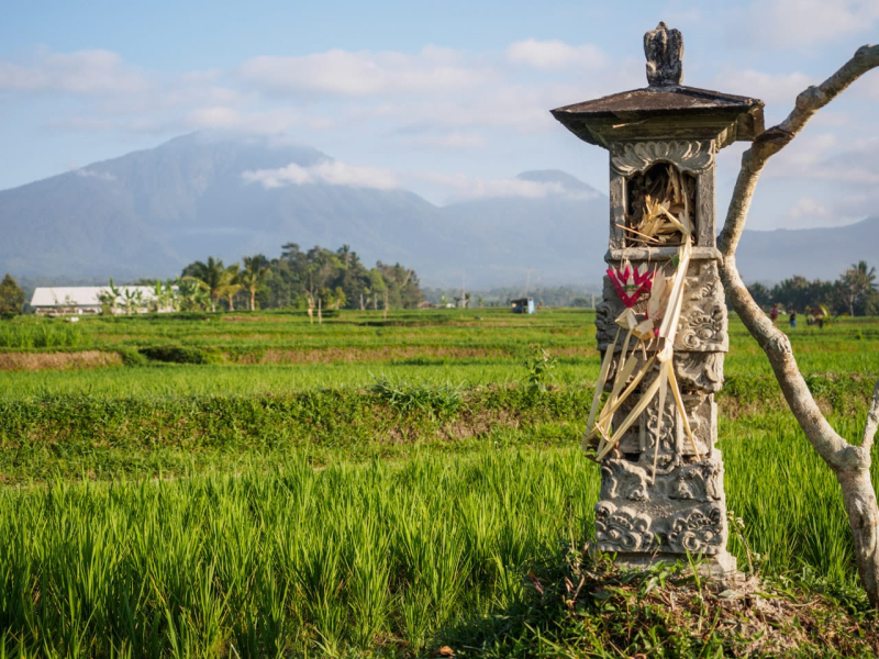 On clear days, from the retreat you can see Bali's second-highest mountain, Mt. Batukaru