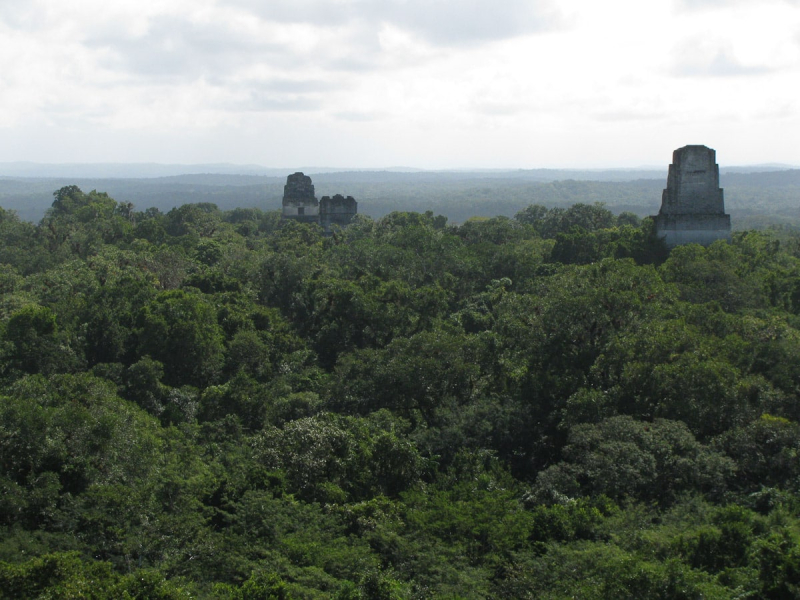 View from the top of Temple IV. This view was used in the original Star Wars film as the location of the rebels' hidden base.