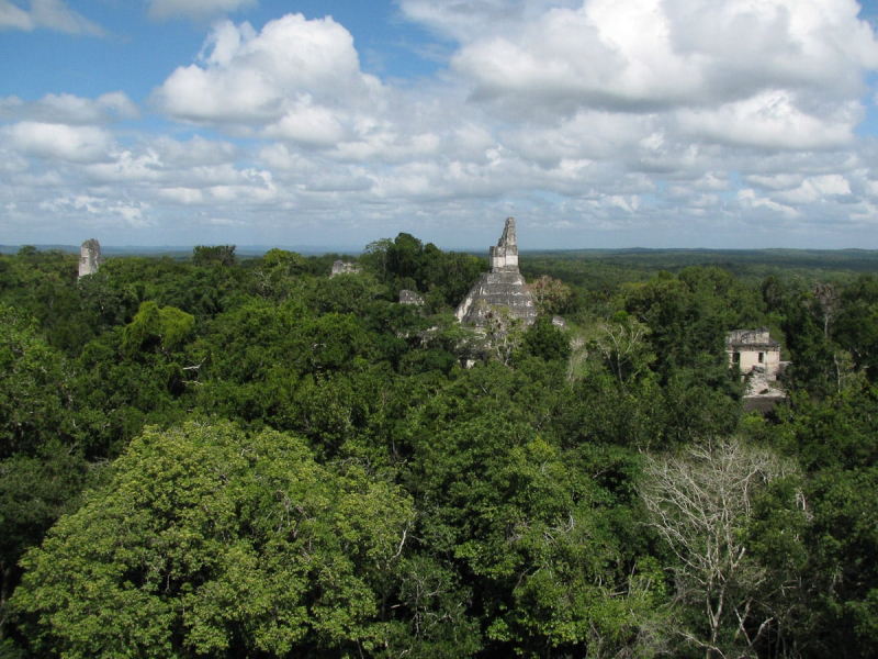 View from the top of Temple V. You feel like the king of the world on top of a Tikal temple. Imagine how a Maya priest-king might have felt, seeming very close to the heavens.