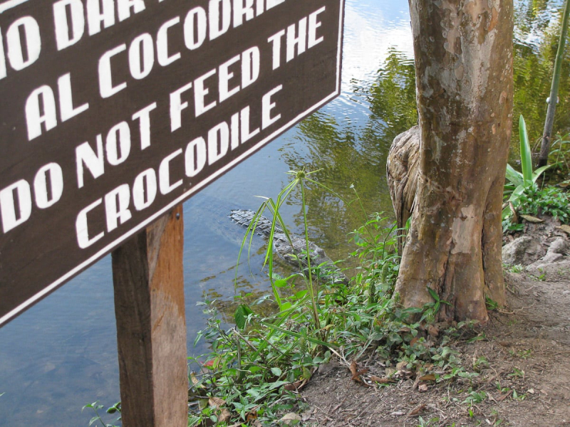 I think the crocodile was hoping that visitors wouldn't read the sign!