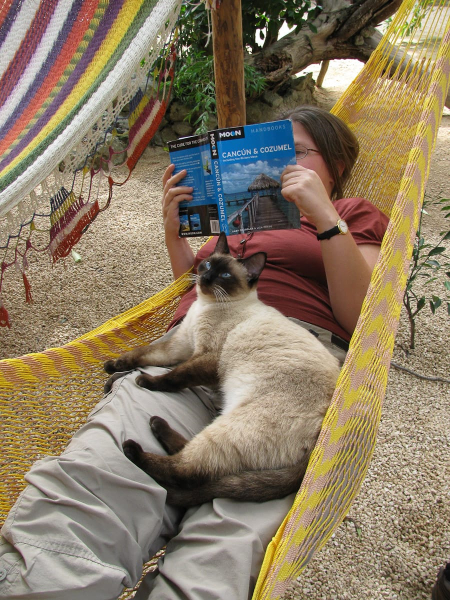 Melissa and a hostel cat plan our travels in the Yucatan Peninsula