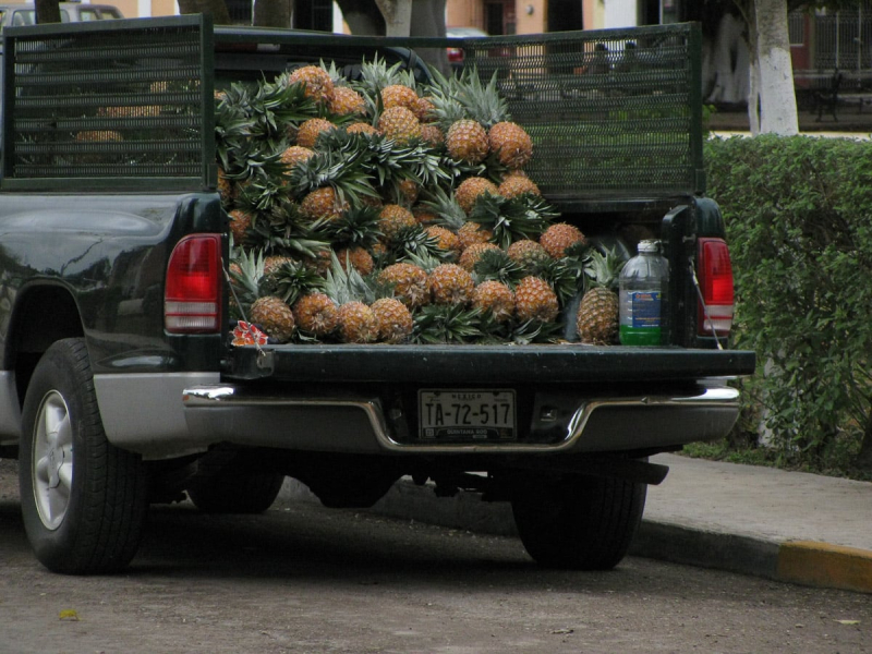 A truck full of pineapples. We've had lots of wonderful fresh fruit in Valladolid.