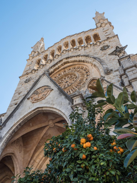 Oranges growing outside the main church of Soller, a town near Valldemossa
