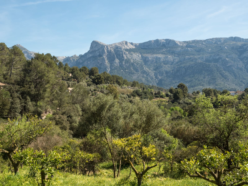 The countryside between Valldemossa and Soller