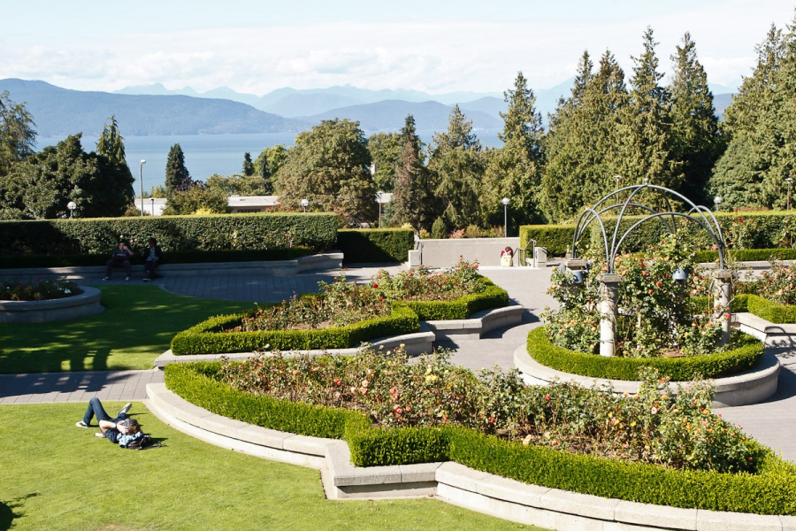 Rose garden with a mountain view at the University of British Columbia