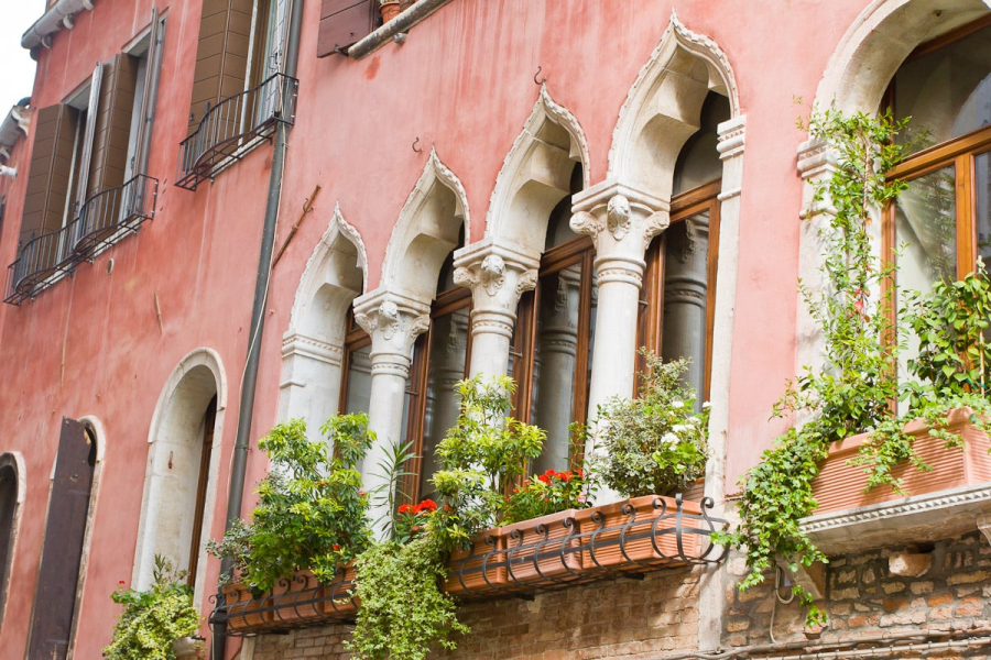 With little terra firma, Venetians do most of their gardening in pots