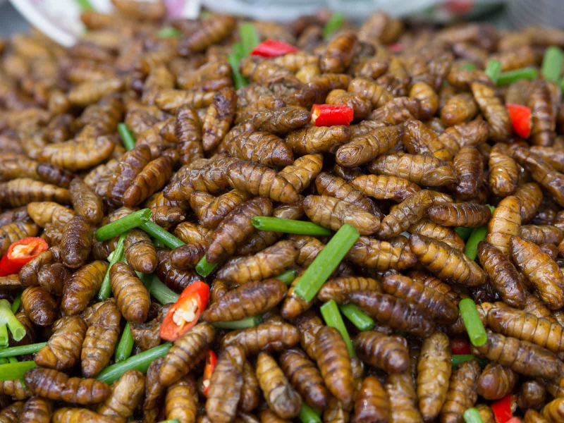 We stayed away from the fried silkwork larvae . . .