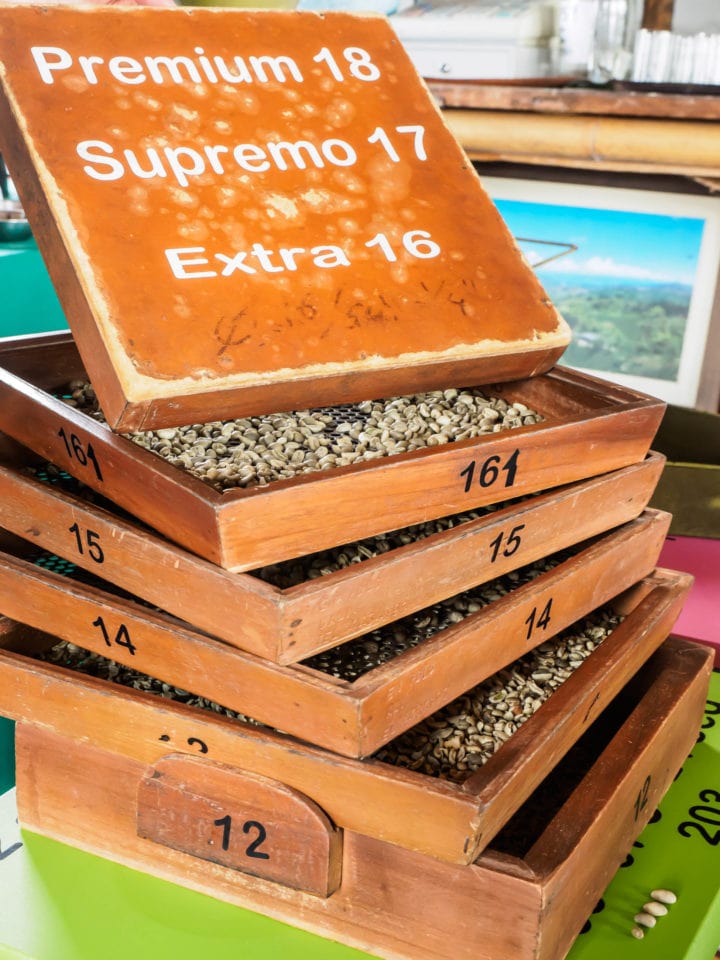 Trays for sifting and sizing coffee