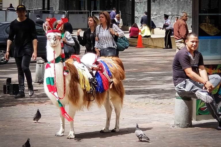 Christmas in Colombia