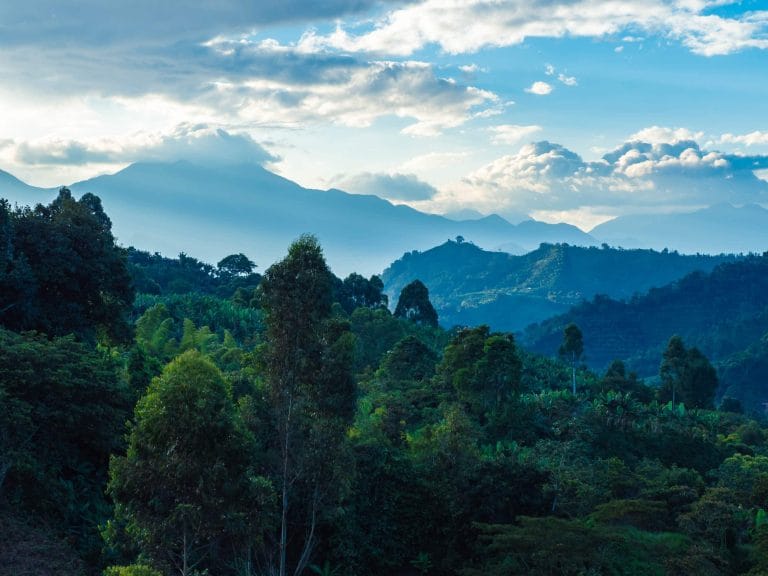 Impressions of Colombia