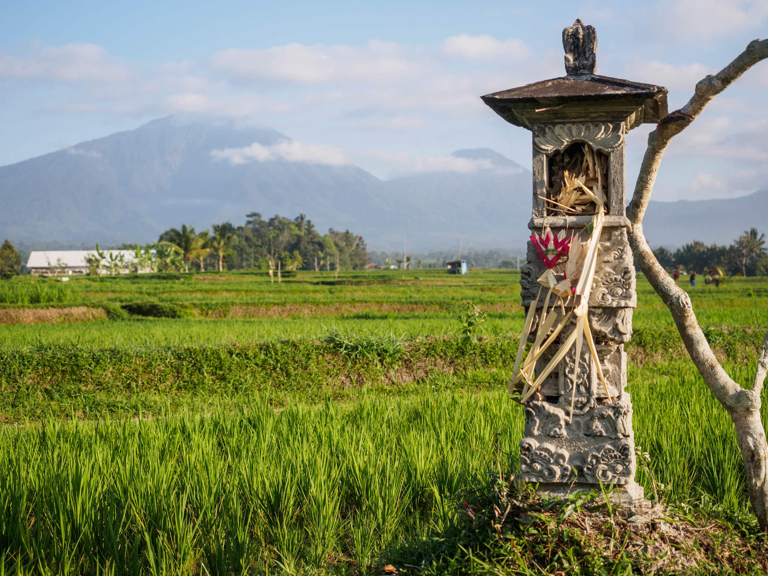 More Random Observations About Bali