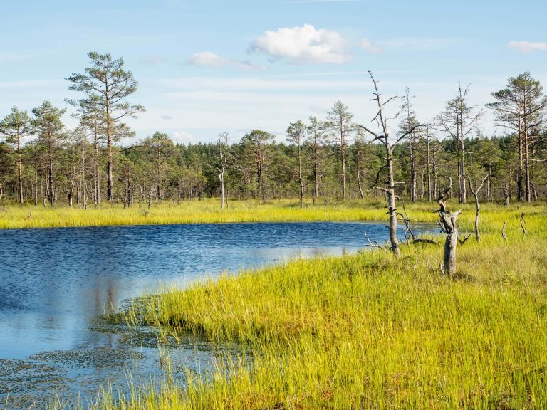 Impressions of Estonia