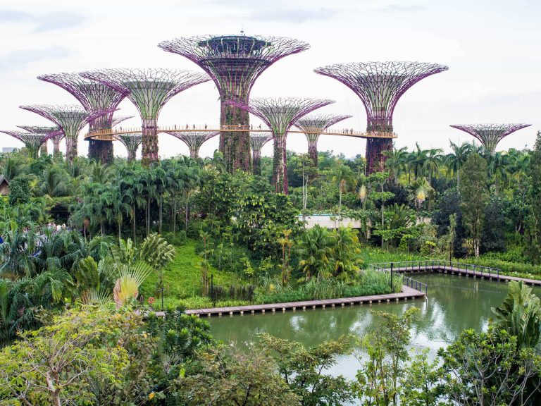 Otherworldly Singapore