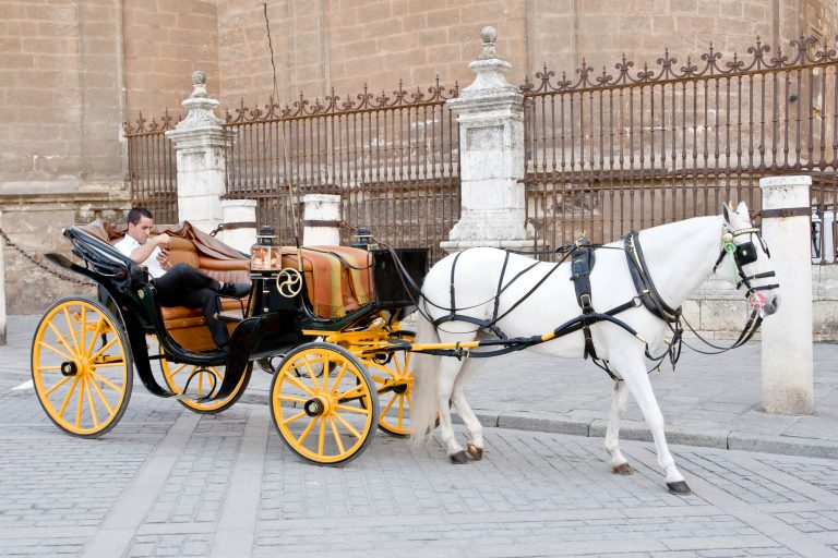 Surprising Seville