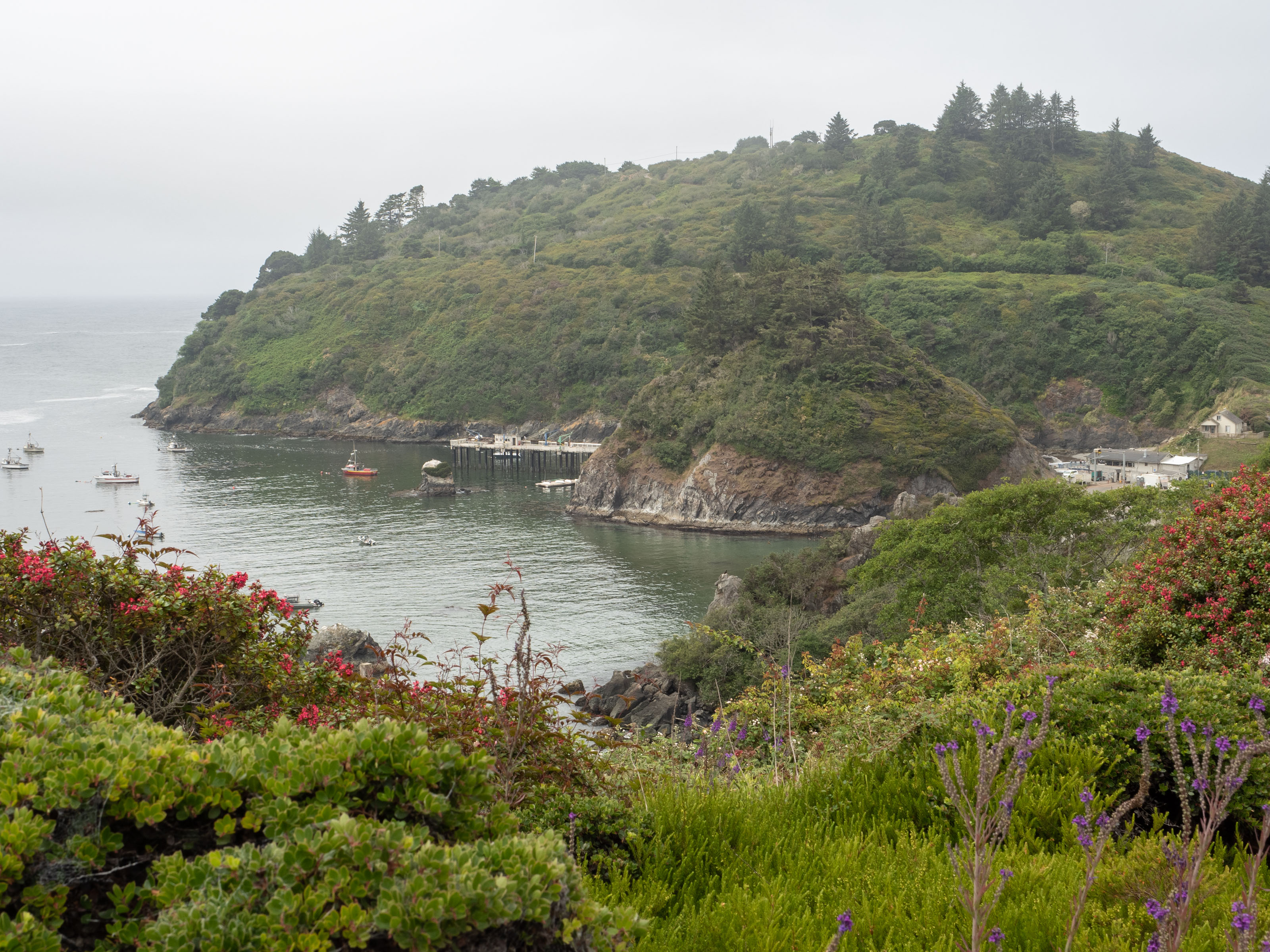 Trinidad harbor