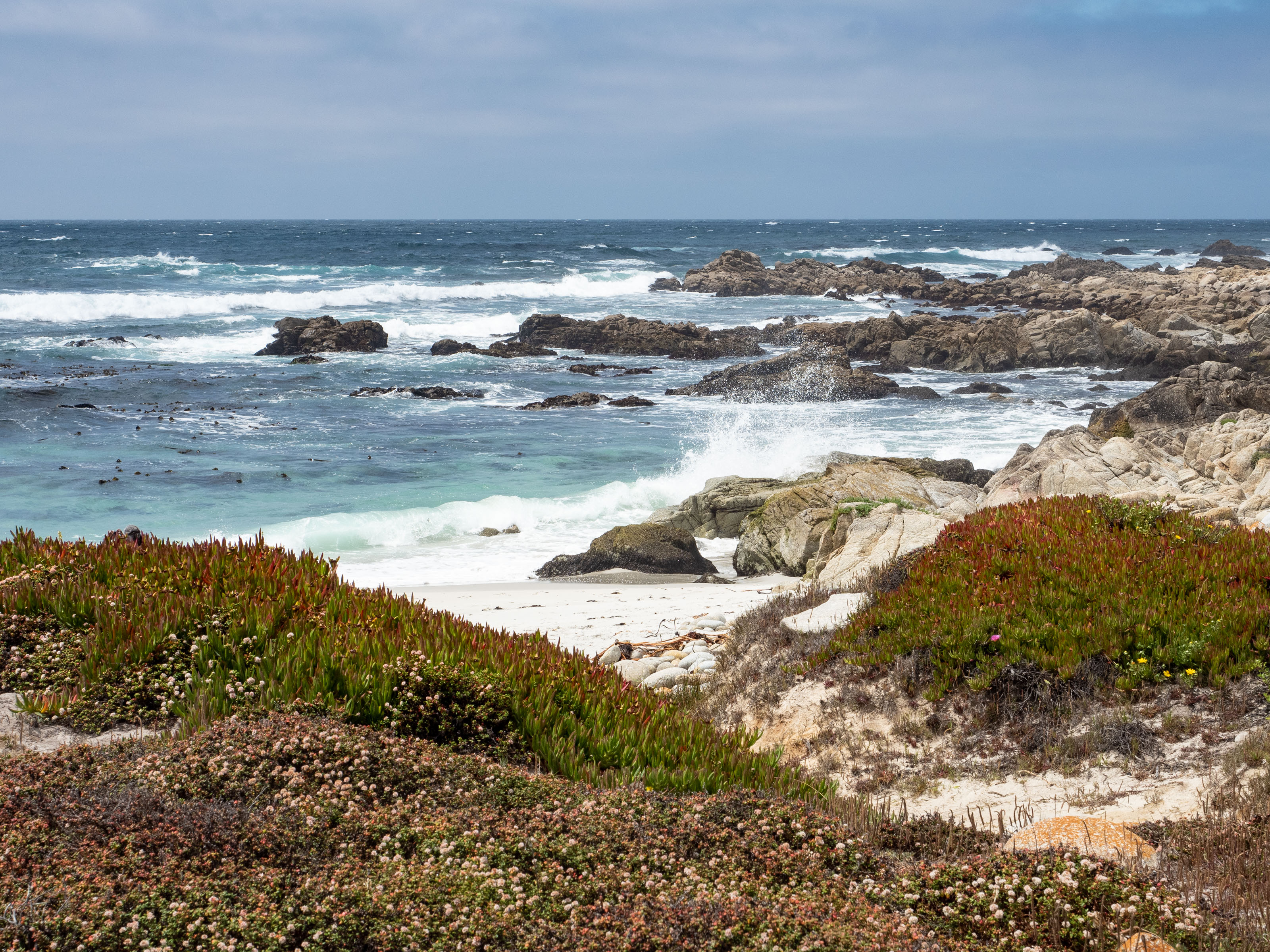 Crashing waves on beach with low plants