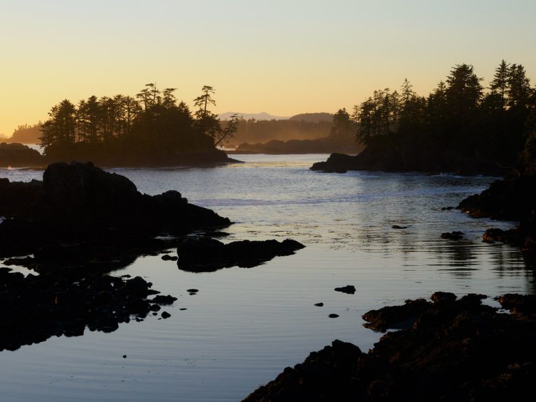 What to See on Vancouver Island