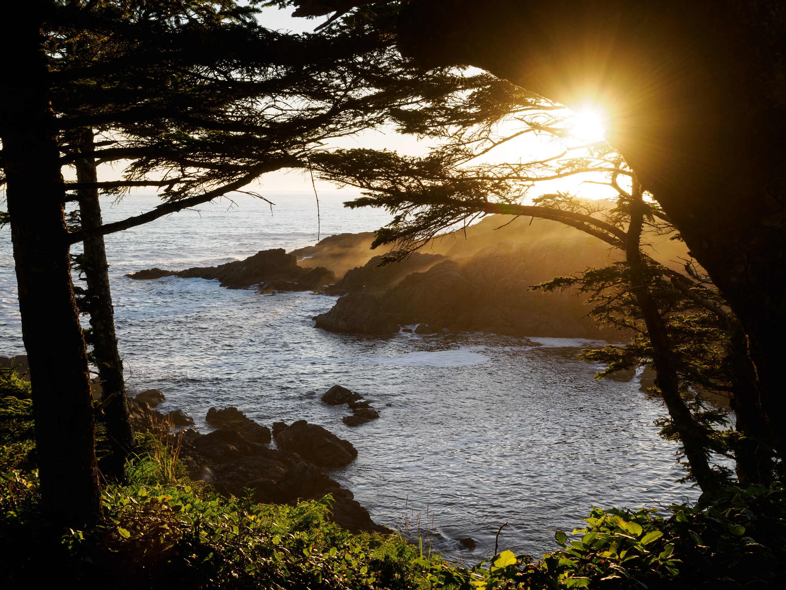 Ucluelet and Tofino, BC