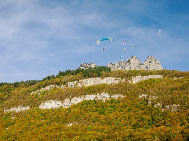Blue sky full of paragliders above a mountain with green forest and white limestone cliffs