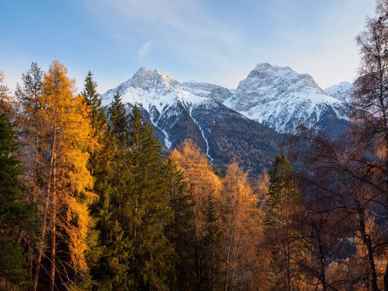 Life in a Swiss Mountain Village