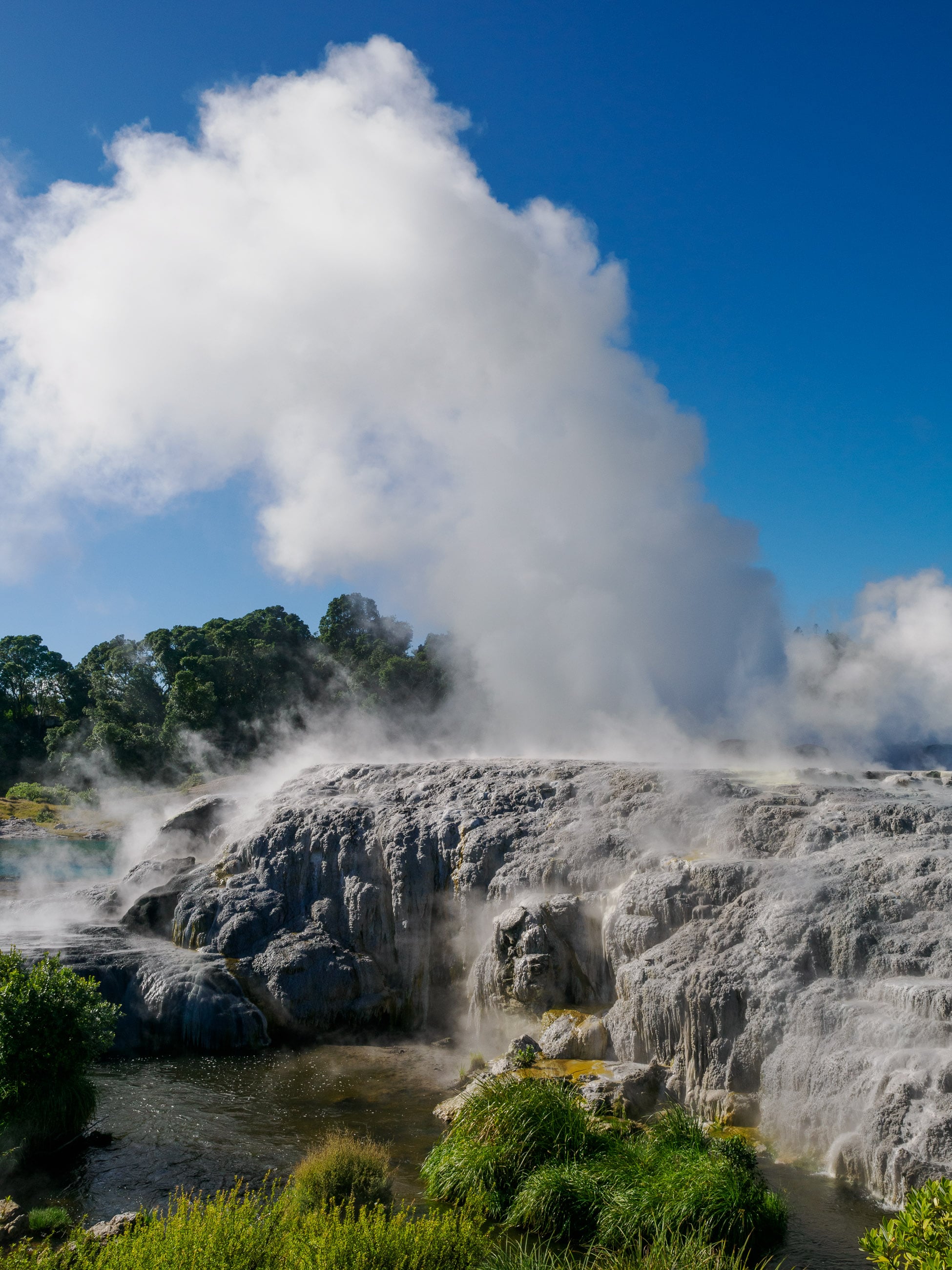 White geyser of water and steam rising up like a plume from gray rock into blue sky