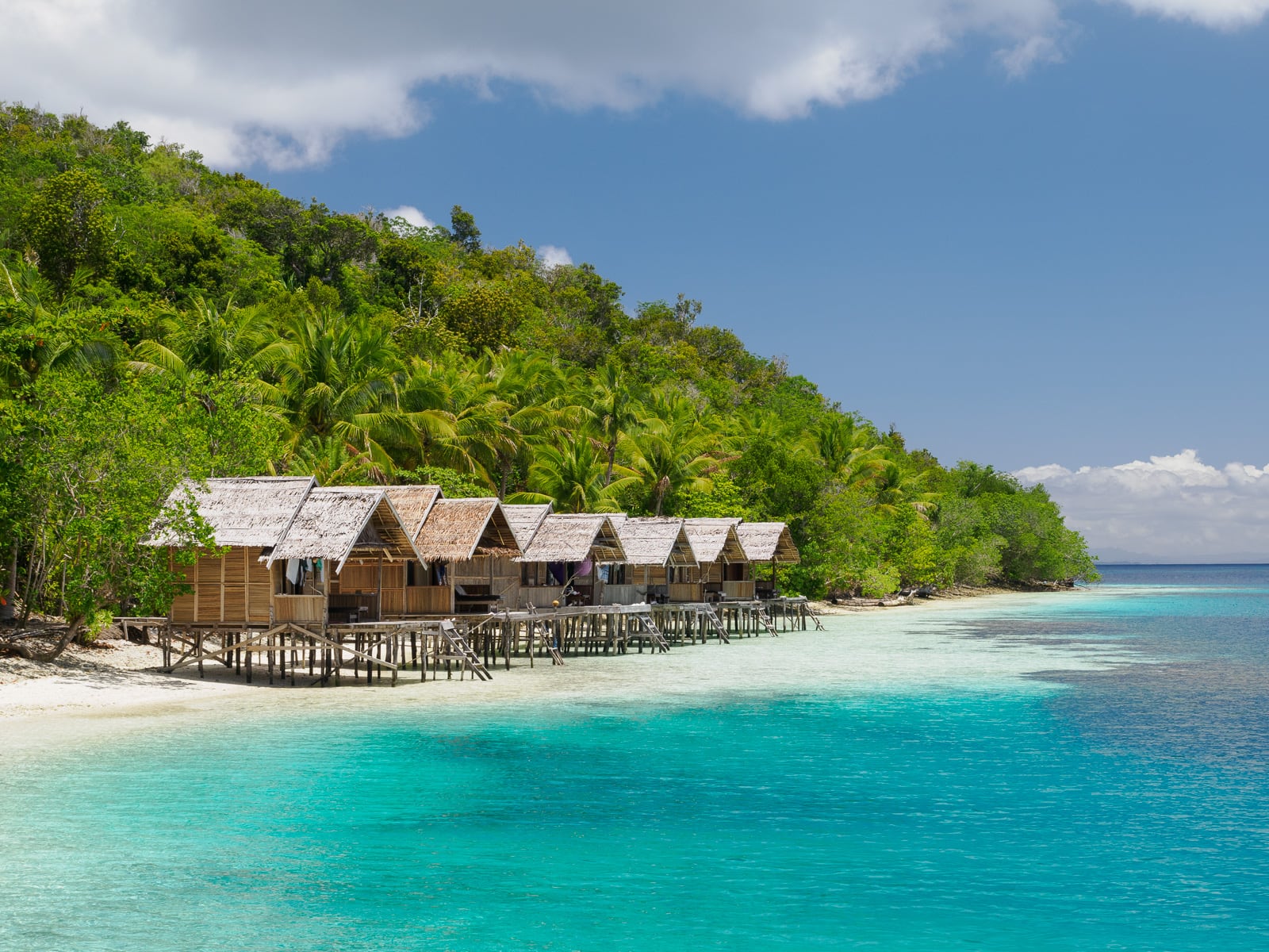 Turquoise sea, a strip of sand with a row of palm-thatch bungalows on stilts, set against a green forested hillside