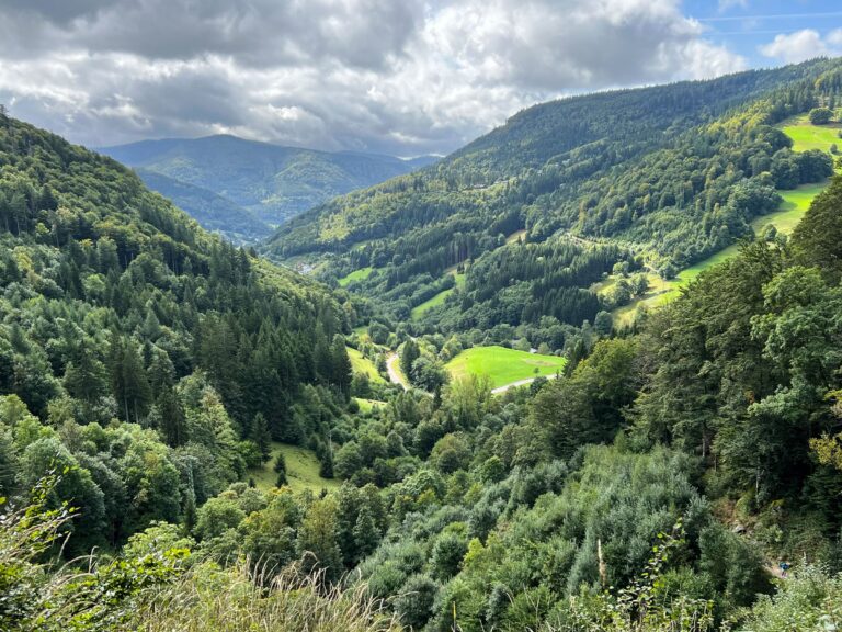 Southern Black Forest